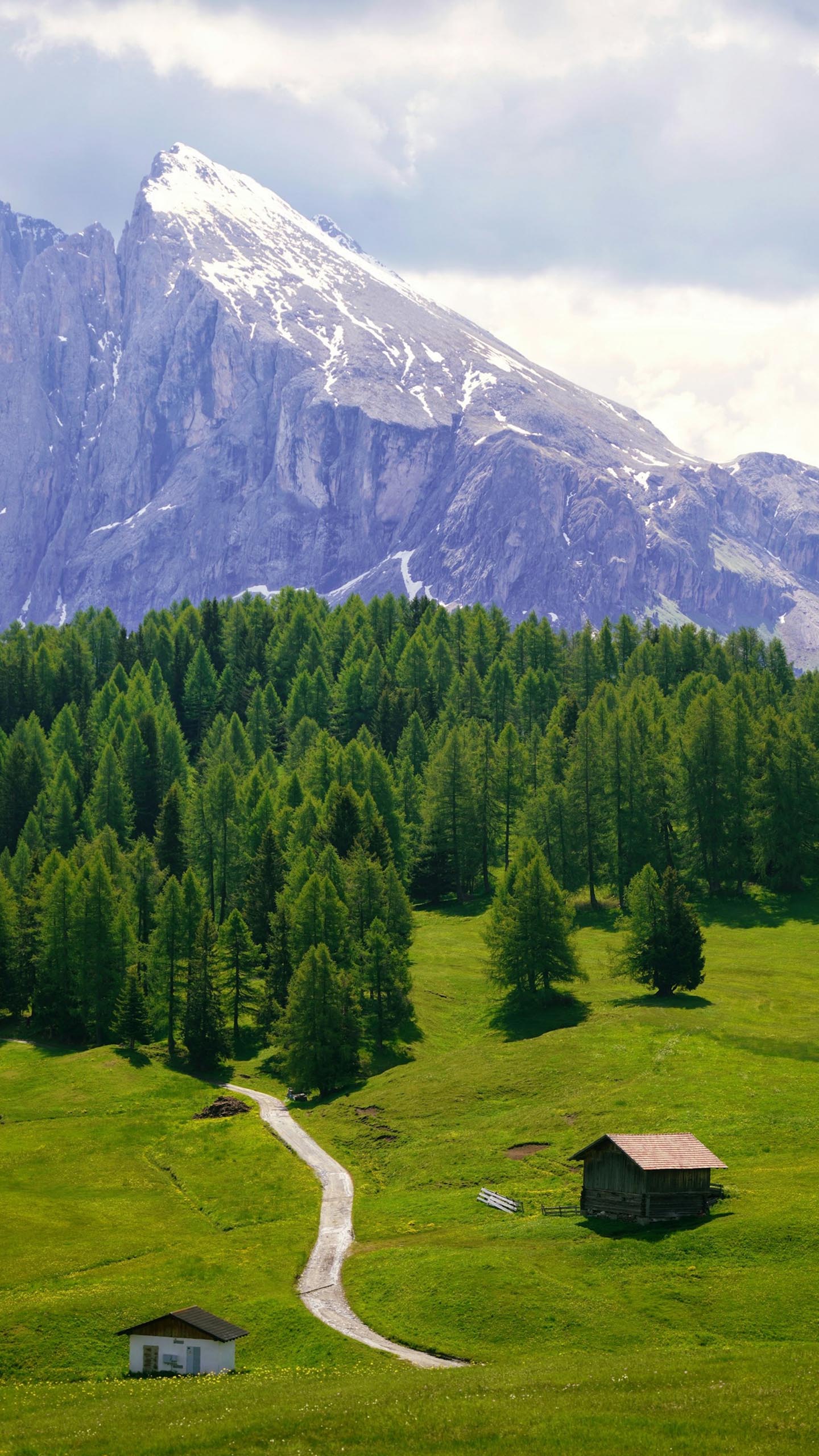 Mountain Meadow House
