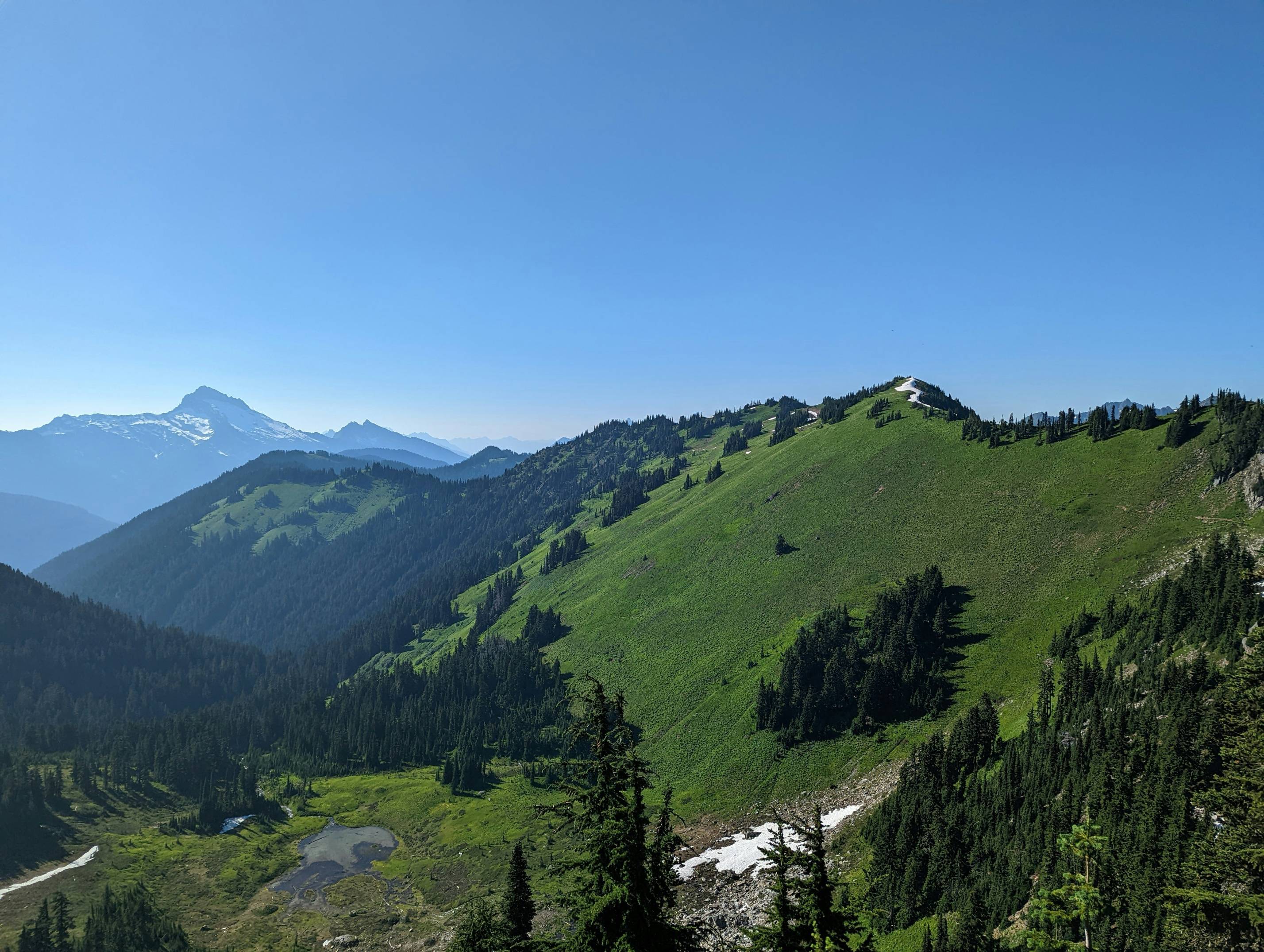 a landscape with trees and mountains