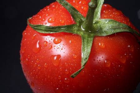 Top 8 Health Benefits of Eating Tomatoes