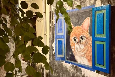 How to Draw an Orange Tabby Cat