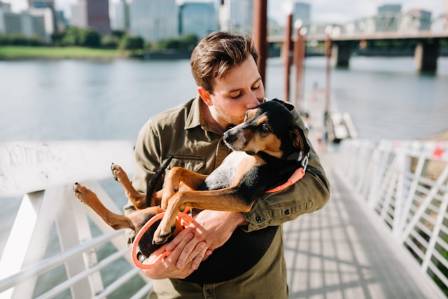 6 Benefits to Pet a Dog
