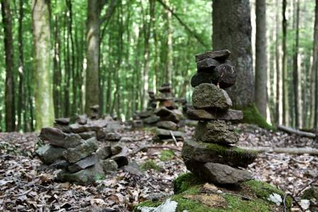 The Stone Forest
