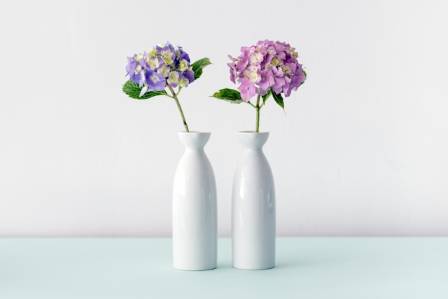 Ways to Style Your Home with Vases