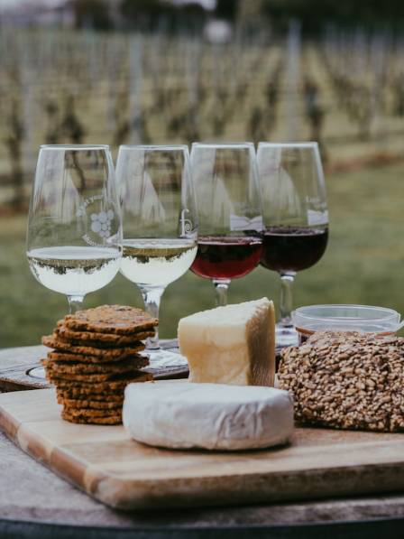 THE CRAFT OF CULINARY HARMONY: A GLOBAL MANUAL FOR ENHANCING FLAVORS THROUGH FOOD PAIRING